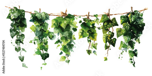  artificial hanging ivy plants, showcasing different shades and textures of green. Lush Green Ivy with Cascading Foliage and Sparse Red Blossoms Isolated on Transparent Background.