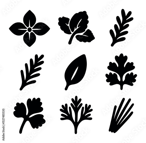 Herbal Icons Grid. Solid, filled icons set of herbal cooking ingredients: basil icon, mint icon, thyme sprig,