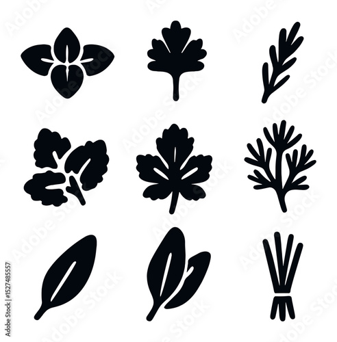 Culinary Herb Icons. Solid, filled icons set of classic culinary herb symbols: basil icon, parsley leaf,
