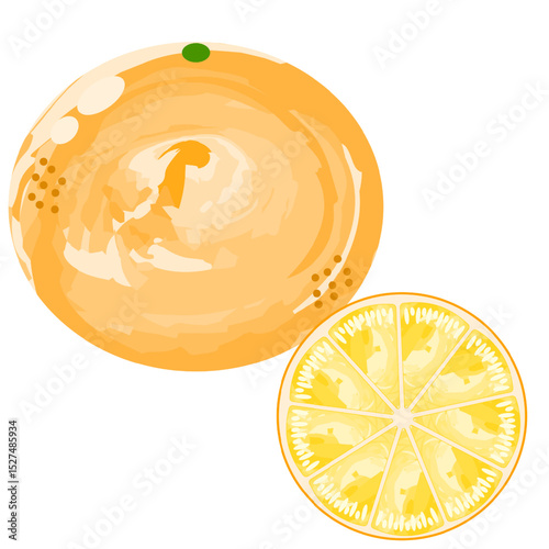 Simple orange icon watercolor style