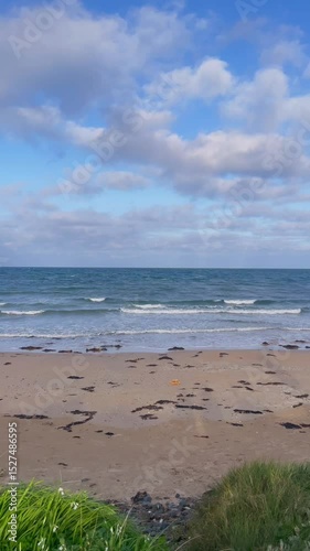 Golden Beach and Blue Ocean under Clear Australian Sky