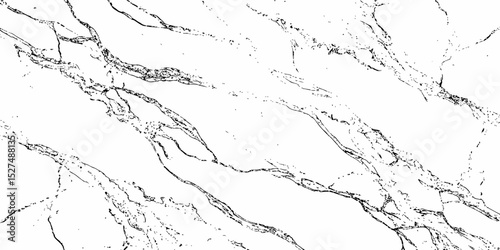  black wavy lines creating a marble like texture and abstract appearance overall white background.