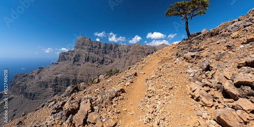 A rocky trail leads to a dramatic cliff overlooking the ocean, with a lone tree standing against a bright blue sky dotted with clouds.
