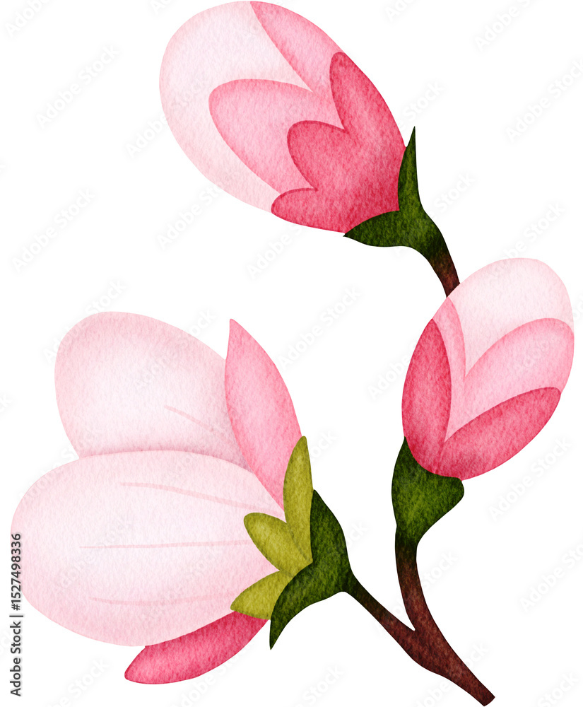 Fototapeta premium sakura branch watercolor