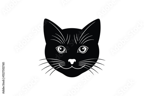black and white cat