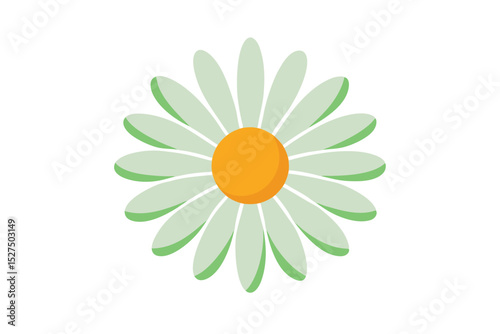 Daisy flower botanical art with natural and clean drawing style vector art illustration