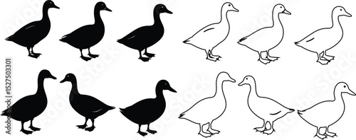 Vector set of duck shapes in black silhouette and line art styles