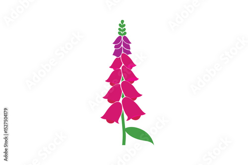 Foxglove flower with tall stem and petal details in floral line art vector art illustration