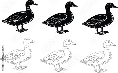 Silhouettes and outlines of ducks in a clean vector illustration set
