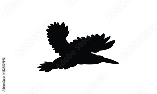 Flying Amazon kingfisher bird Silhouette Design  And Vector Illustration. 