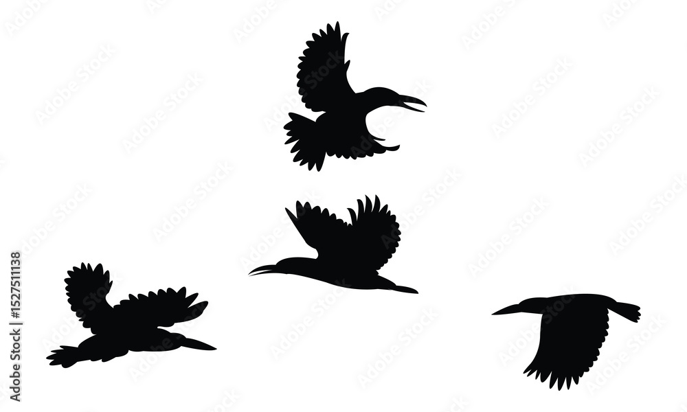 Obraz premium Flying Amazon kingfisher bird Silhouette Design And Vector Illustration. 