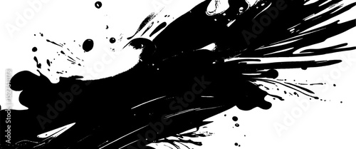 Vector black grunge ink splatter on white background