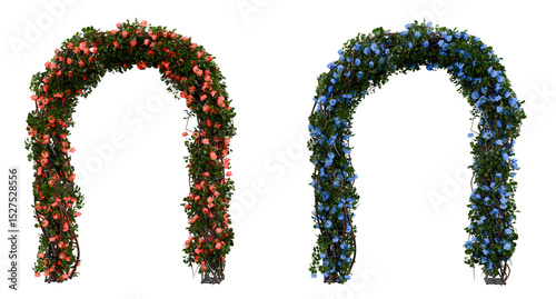 Floral Arch with Red and Blue Flowers on Transparent Background