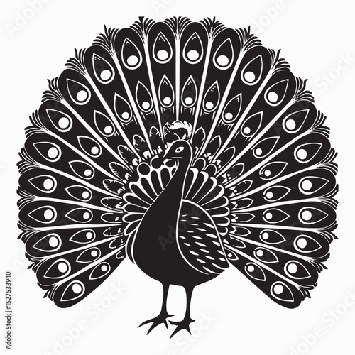 Elegant Black and White Peacock Design