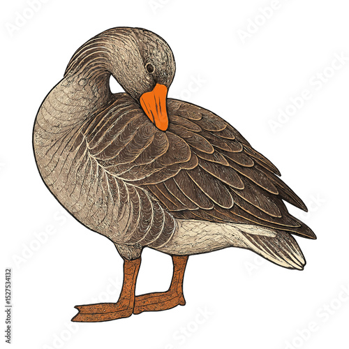 Stylized Goose Illustration