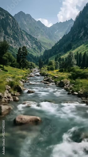 Mountain stream winding through lush alpine valley with pine forest