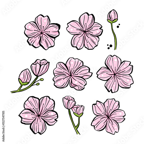Set of Pink Sakura for decoration crafts project, card, background and any design. Vector illustration about botanical nature.