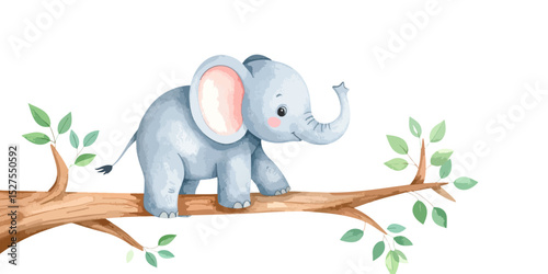 Elephant playing elephant isolated on white background