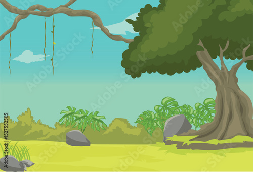 tropical rainforest is suitable for background