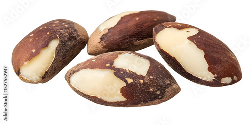Close-up studio shot showcasing the rich texture and appearance of fresh brazil nuts