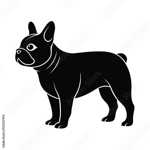 French Bulldog Standing Black Vector Silhouette