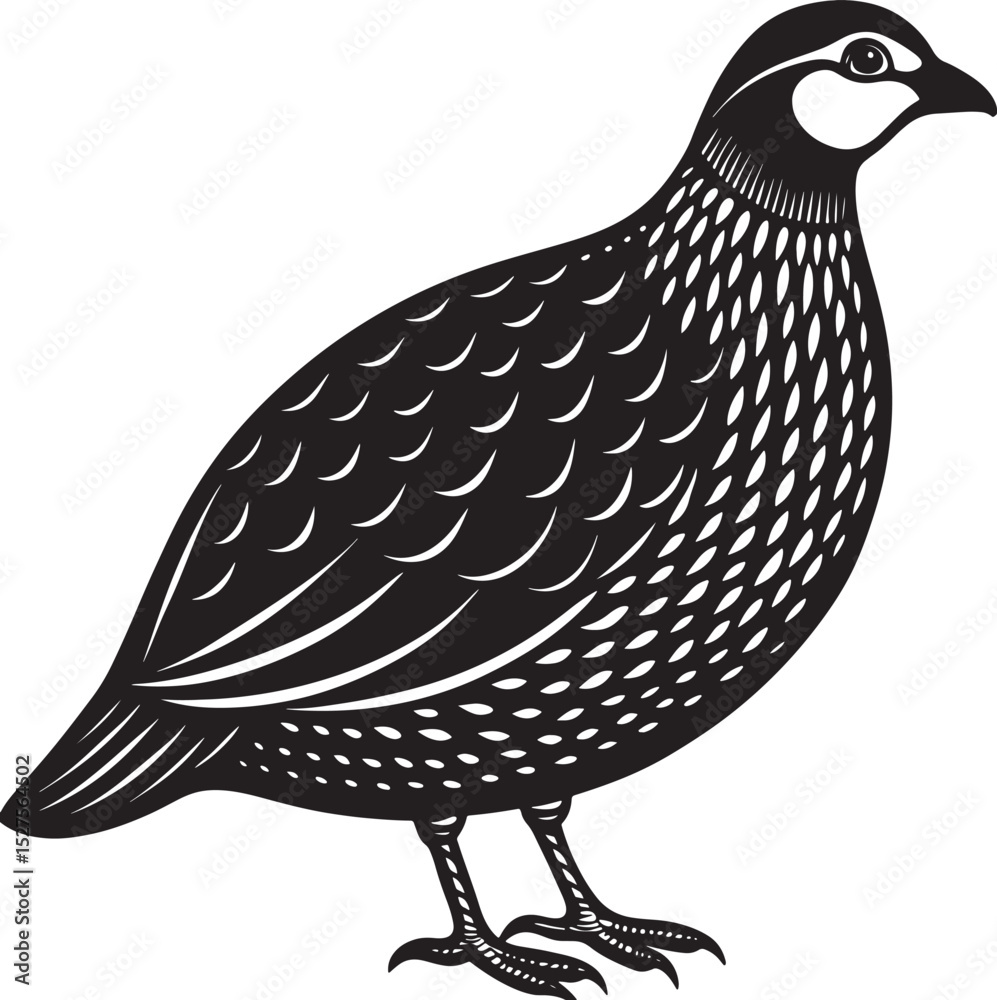 Fototapeta premium bird on a white background