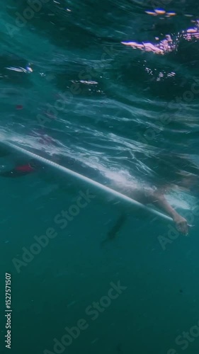 Mid adult surfer paddling on his surfboard in Indian Ocean. Underwater slow motion video. Vertical shot