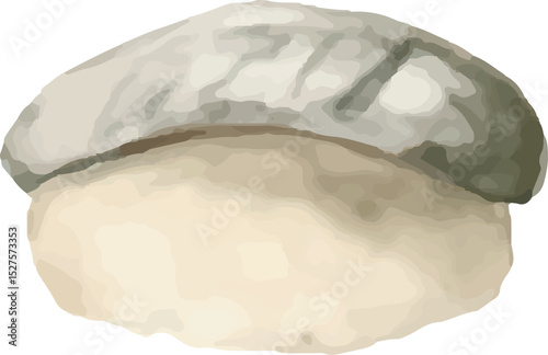 A realistic illustration of sushi with neatly arranged toppings on a bed of rice. The texture, shading, and details make it lifelike, ideal for culinary or Japanese cuisine-related visuals