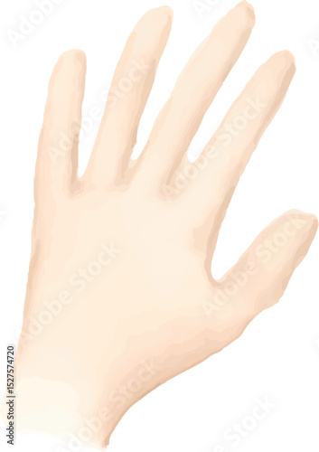 A realistic illustration of a left hand with fingers slightly spread, showing smooth skin and natural anatomy in a neutral position
