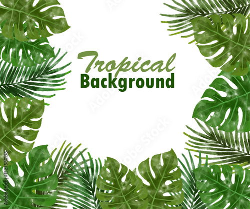 Tropical Green Leaves Frame with Monstera and Palm Fronds on White Background