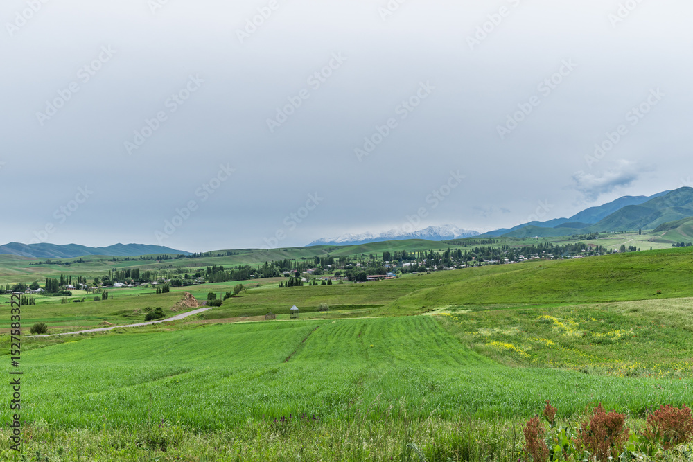 Obraz premium Spring views of the Chui Valley of Kyrgyzstan. Nature background.
