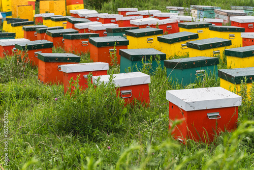 Apiary with brightly colored hives and flying bees. Making natural honey.