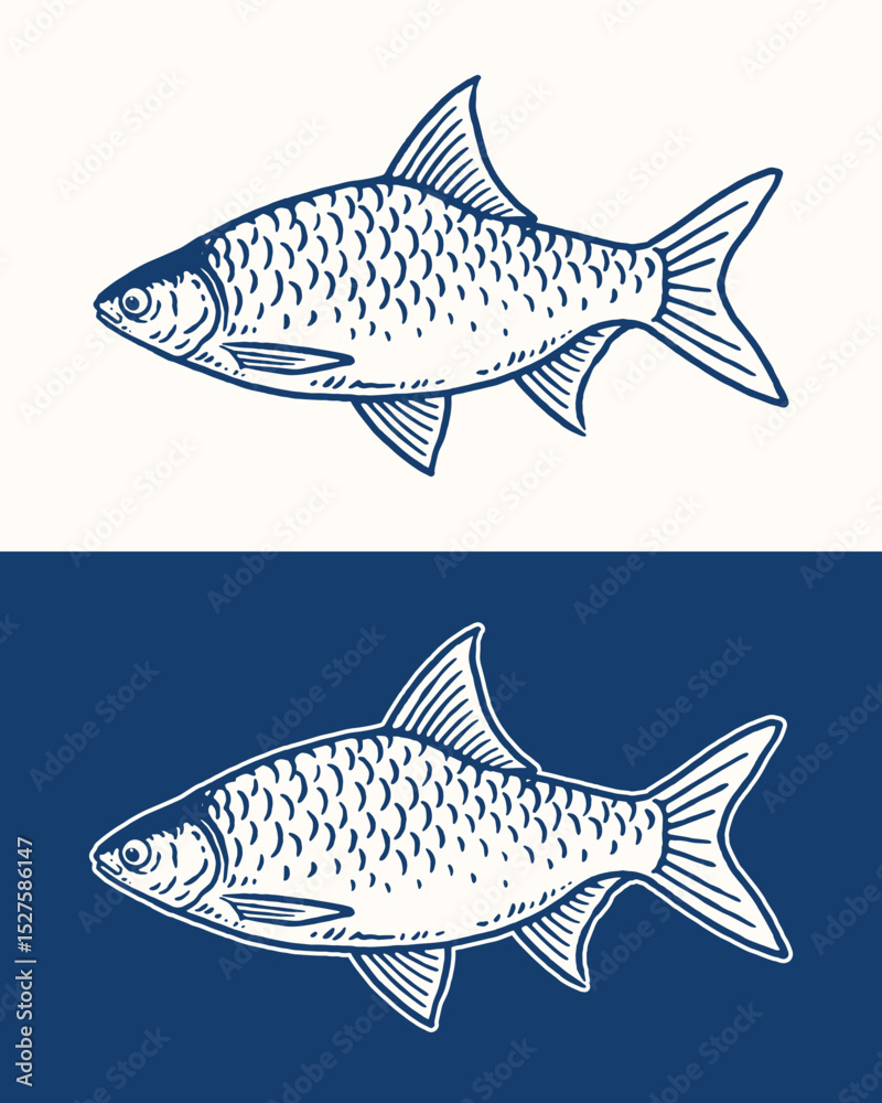Obraz premium java barb fish illustrations