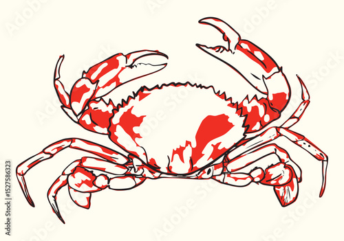 Red Crab Line Art