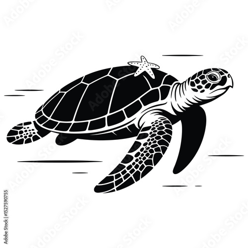 turtle