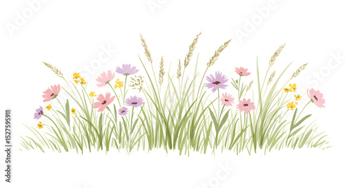 Colorful wildflowers blooming peacefully in a sunny grassy field.
