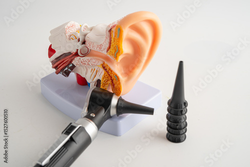 Otoscope with model for audiologist or ENT doctor use otoscope checking ear and treat hearing loss problem.