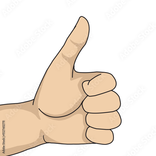 Thumb vector of left hand