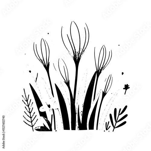 Black and white botanical sketch of crocuses amid leaves and foliage