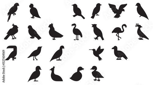 A collection of black silhouette illustrations depicting different types of birds and avian species
