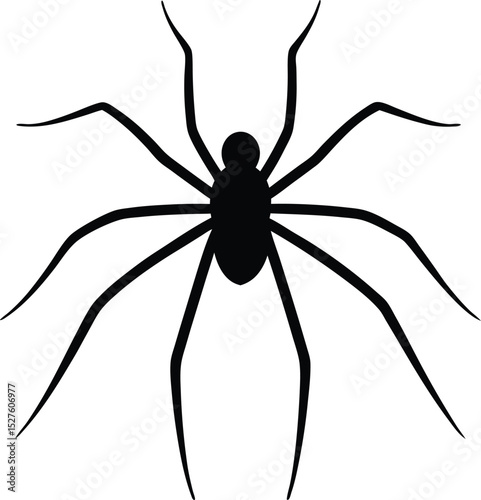 vector silhouette of a spider