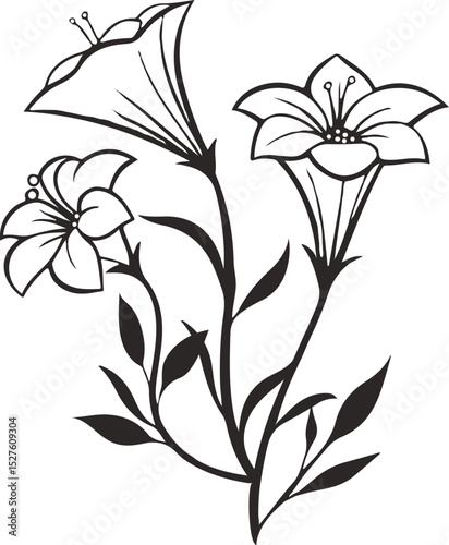 black and white flowers