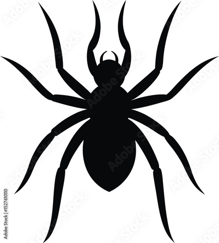 vector silhouette of a spider