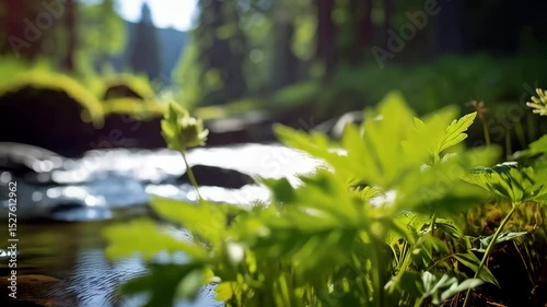 Bright green plants and flowers flourish along the edge of a small stream within a lush, defocused forest environment.