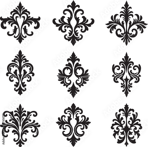 Ornate Flourishes & Calligraphy Embellishments vector