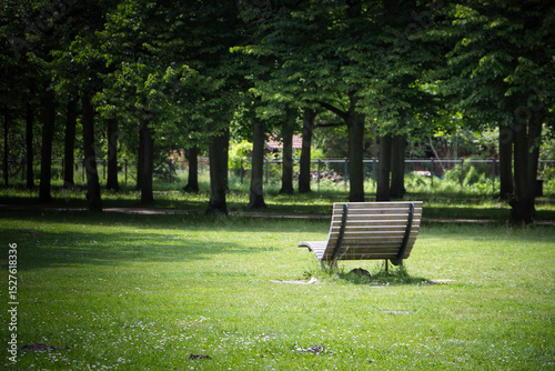 Fototapeta Naklejka Na Ścianę i Meble -  Park bench on meadow in front of trees in spring