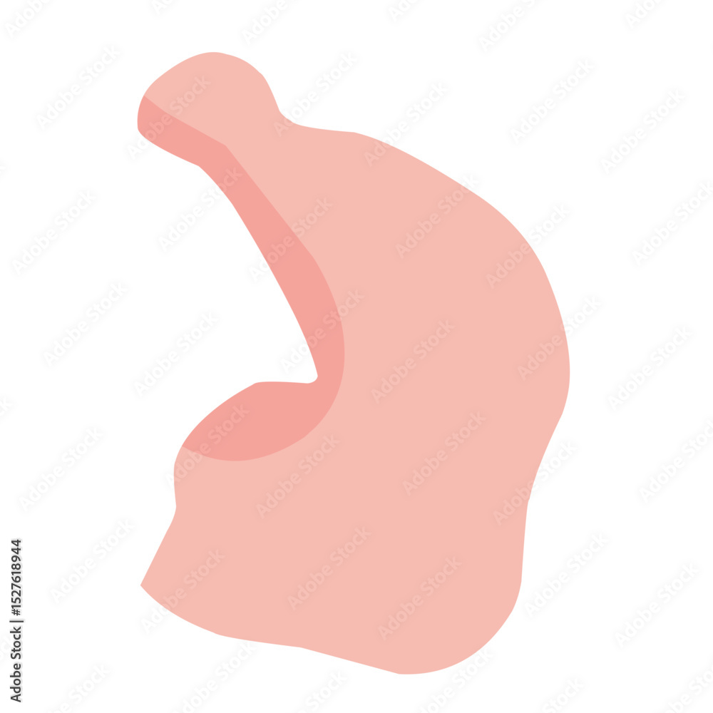 chicken meat illustration chicken meat illustration
