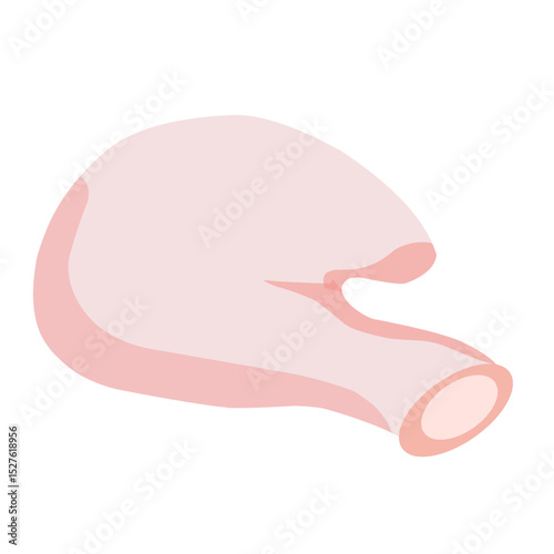 chicken meat illustration