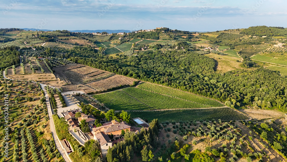 Obraz premium Scenic Tuscan Landscape with Olive Groves and Vineyards at Golden Hour – Idyllic Countryside in Italy
