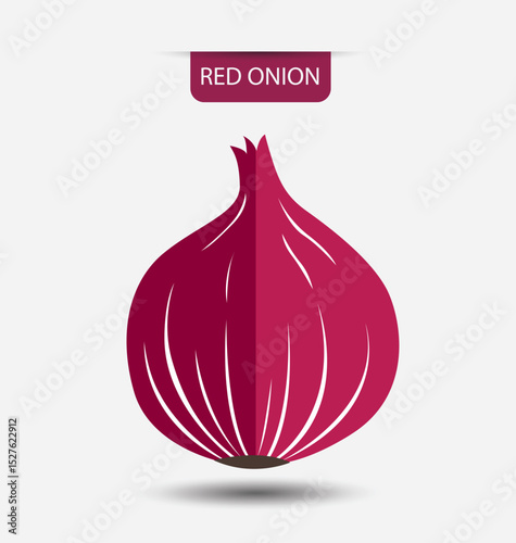 red onion, vegetables vector illustration